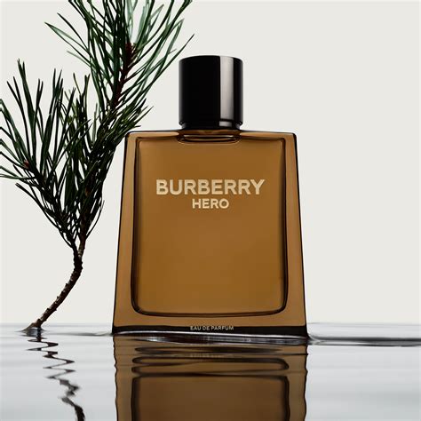 burberry parfums homme|best perfume for men Burberry.